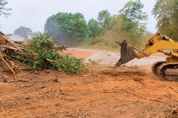 Cost of Ground Clearing in Orem