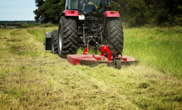 Cost of Brush Clearing Service in Orem