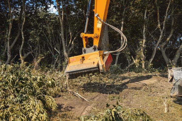 Cost of Brush Removal Service in Orem