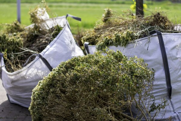 Cost of Bushes Clearing in Orem