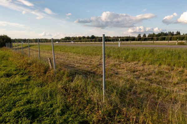 Cost of Property Line Clearing in Orem