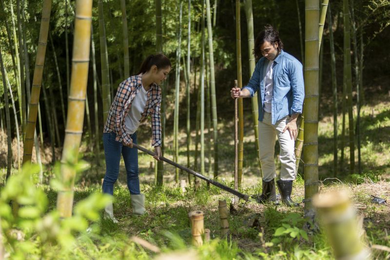 Forest Fire Prevention