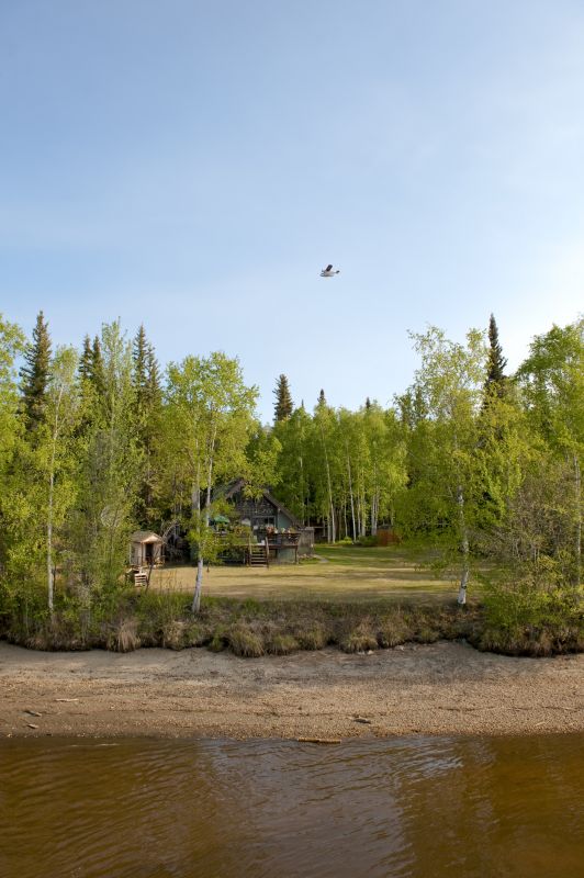 Local Landscaping Firms