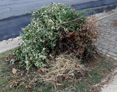 Debris Removal and Cleanup